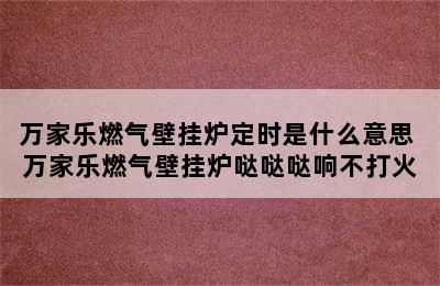 万家乐燃气壁挂炉定时是什么意思 万家乐燃气壁挂炉哒哒哒响不打火